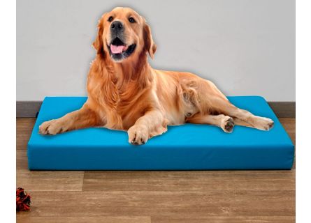 Colchão de espuma para cachorro