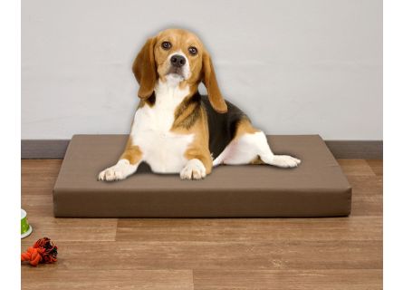 Colchão de espuma para cachorro