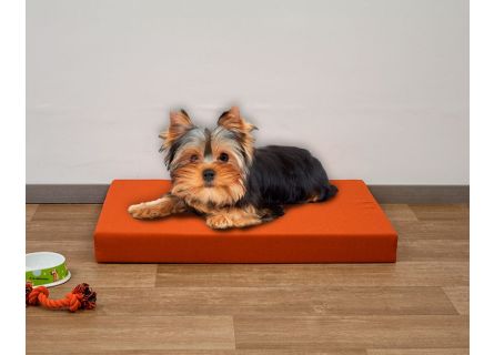 Colchão de espuma para cachorro
